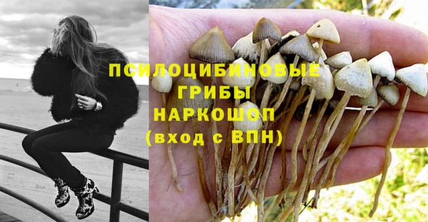 твердый Алексин