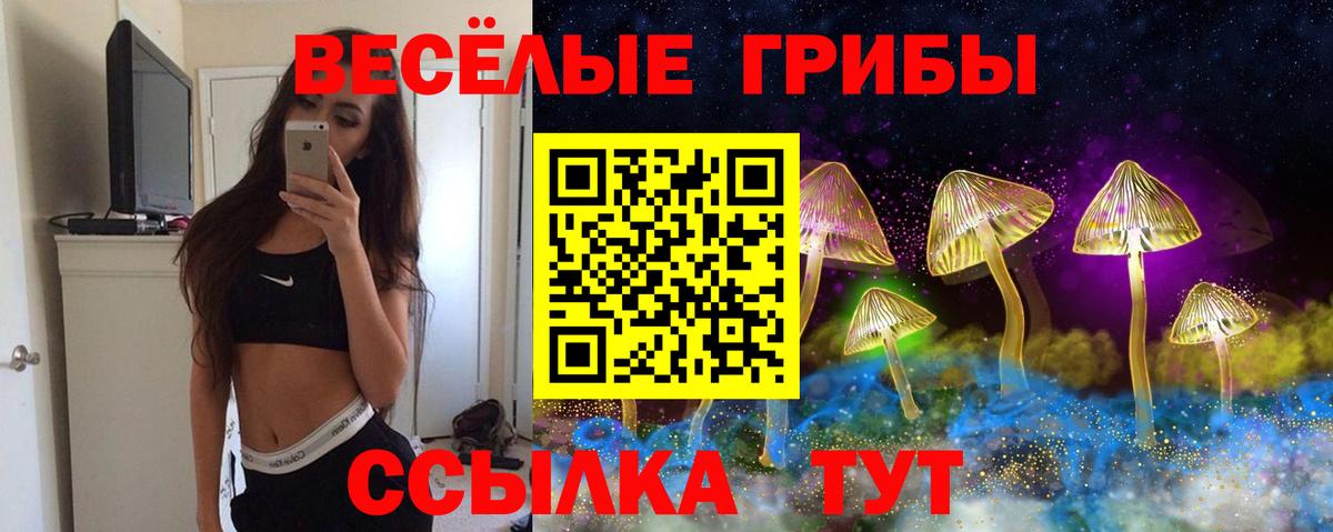 Псилоцибиновые грибы прущие грибы Ступино